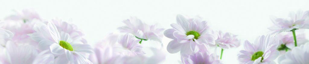 435_Dekor_Blume