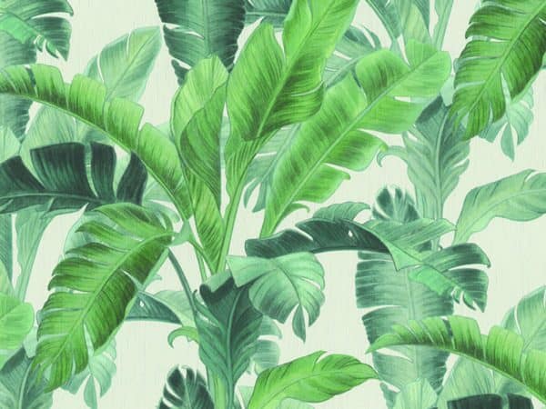 569_Dekor_Urban_Jungle